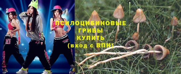 дмт Балабаново
