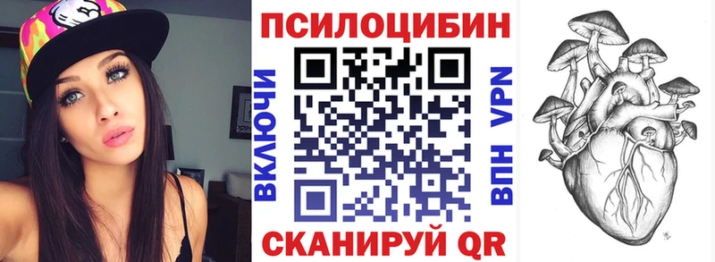 Псилоцибиновые грибы мицелий  закладка  Соль-Илецк 